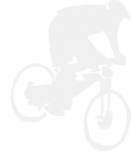 biker_grey_3
